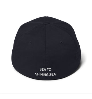 Amercia 250 Hat