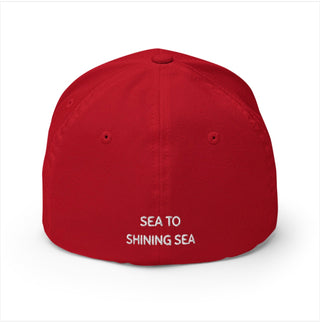 Amercia 250 Hat